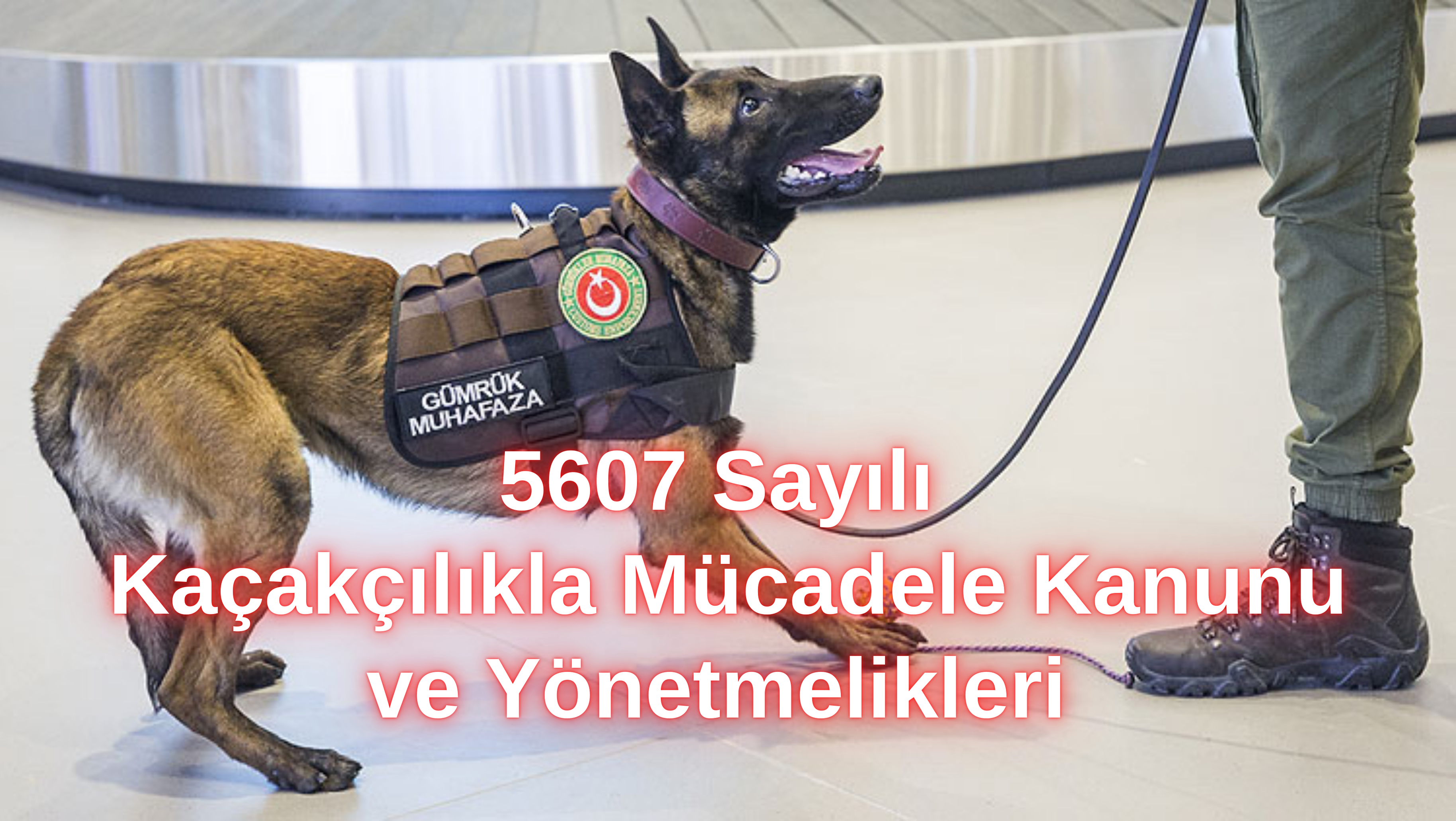 Kaçakçılık Mevzuatı